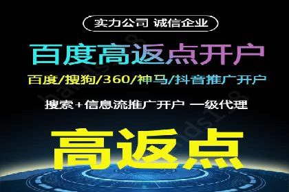 竞价排名中关键词出价策略的案例探讨